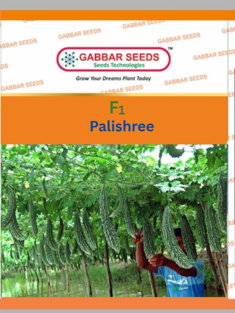 F1-Palishree